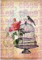Cage rose et oiseau fond beige - A5