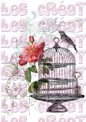 Cage rose et oiseau - A5