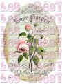 Rose garden ovale - A5