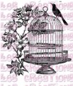 Cage oiseau et fleur - A5
