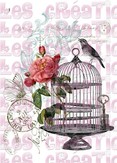 Cage oiseaux - A4